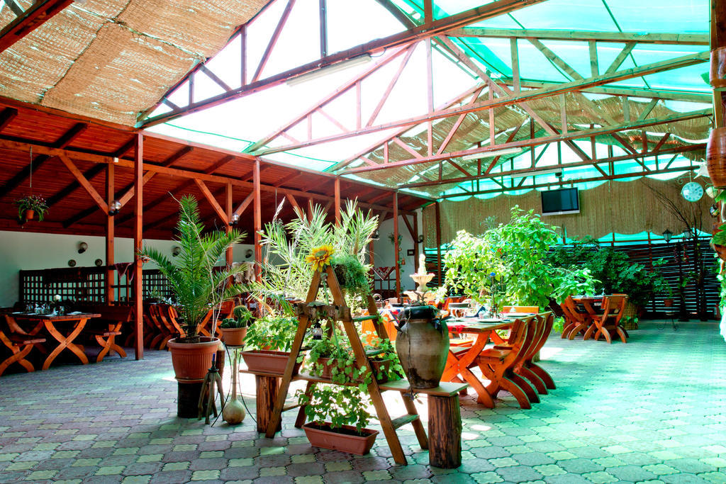 Denisa Hotel Otopeni Bagian luar foto